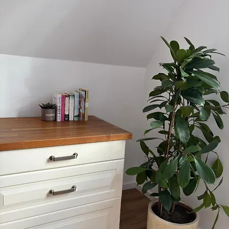 Premium Landhauswohnung شقة *